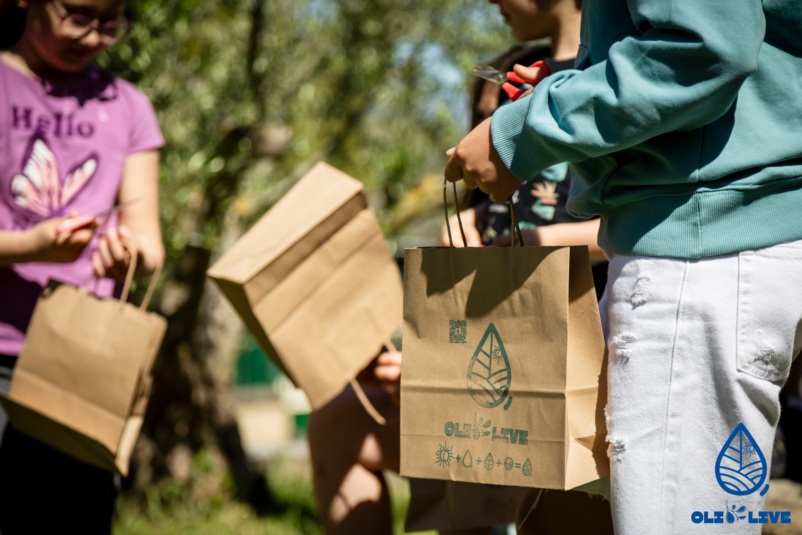 Visita OlioLive Cata y Taller