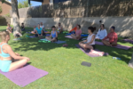 YOGA EN EL OLIVAR + OLIOEXPERIENCE - Imagen 3