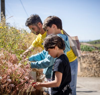 Visita OlioLive Cata y Taller