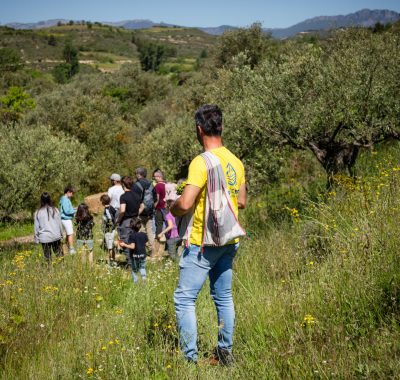 Visita OlioLive Cata y Taller